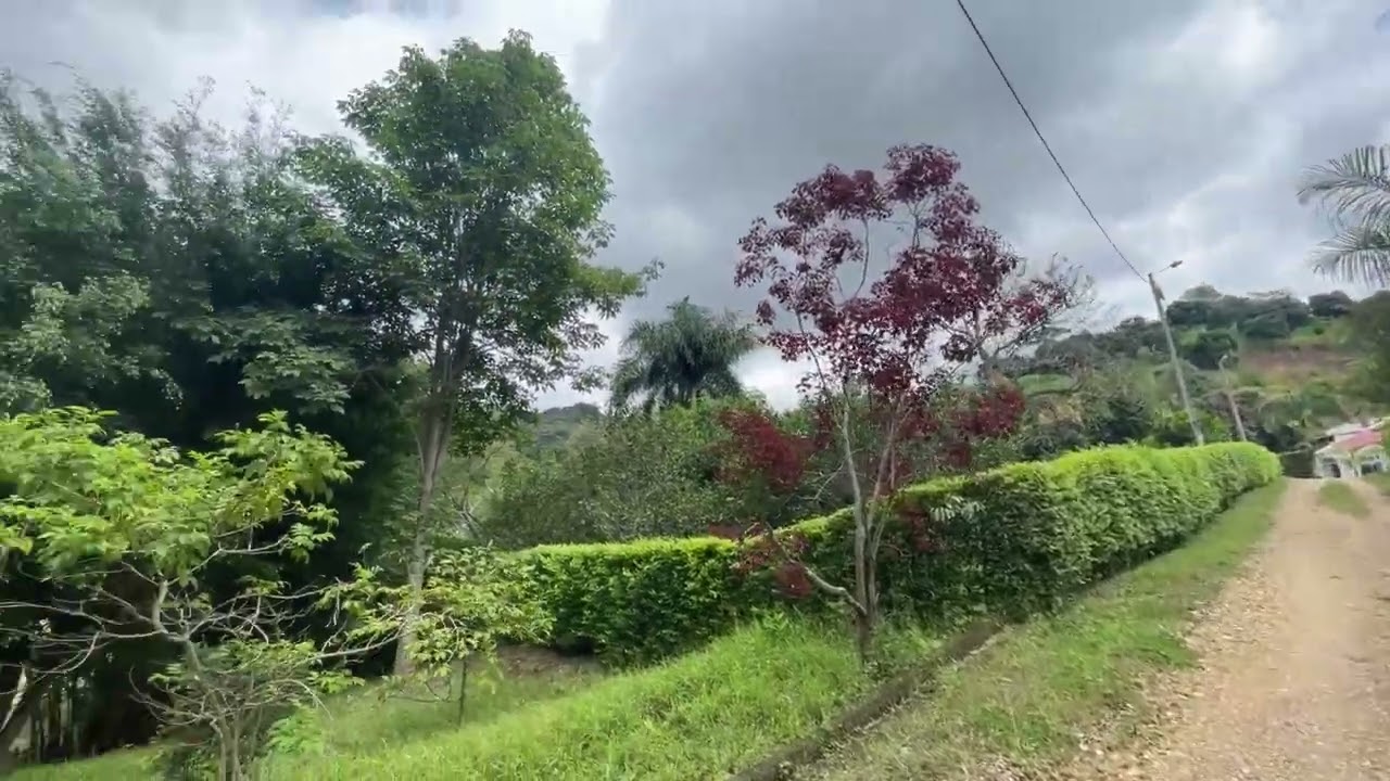 Lote Venta en la Mesa Cundinamarca