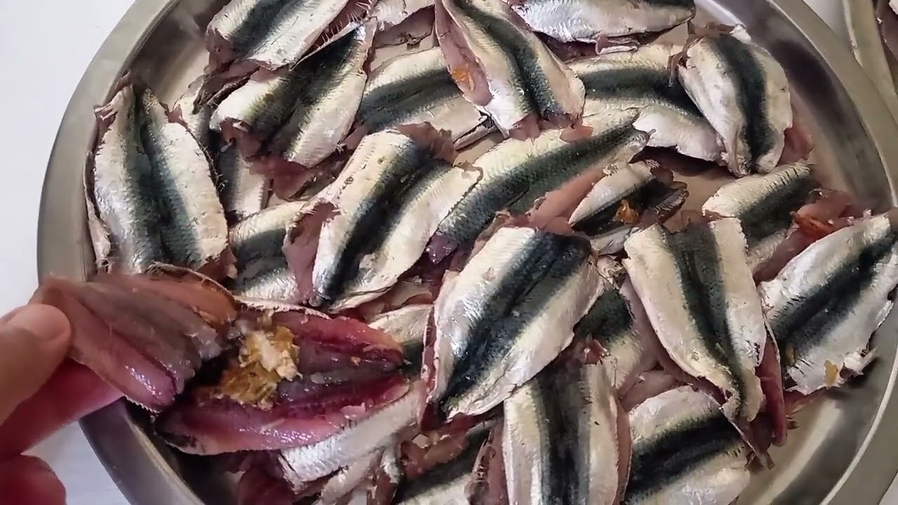 ساردين بلاصوص تومات