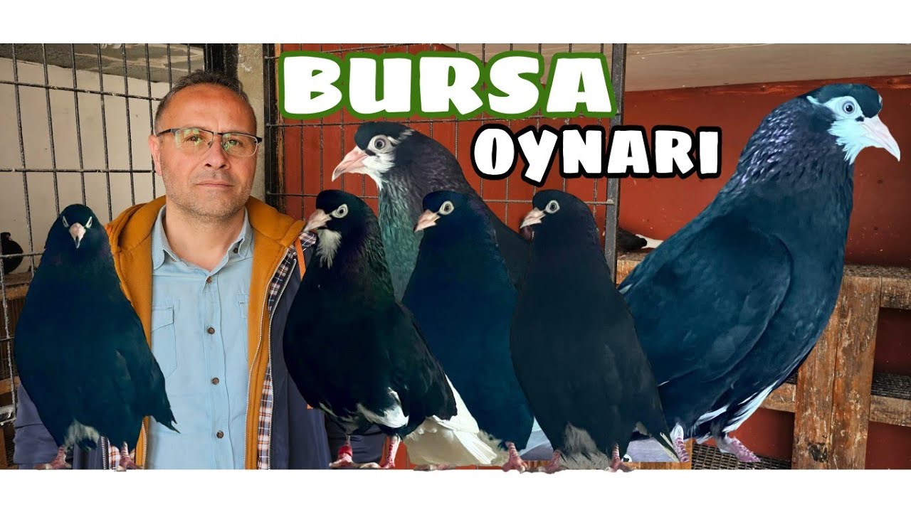 HASAN CAN KÜMESLERİ, BURSA OYNARI VE İMPARATOR KİMBILDAN USTADAN ÖĞRENDİKLERİNİ KONUŞTUK