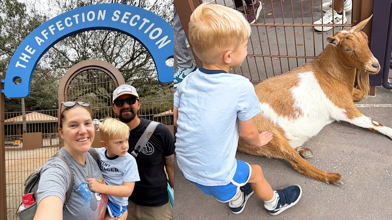 Saying Goodbye To The Affection Section At Disney's Animal Kingdom, Valentine's Day At Home & More!