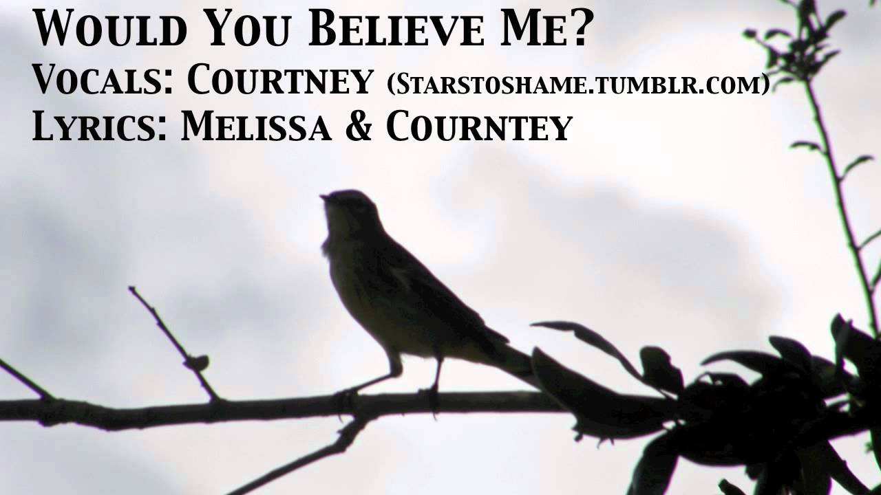 Would You Believe Me? - Cover of 'Hold It Against Me' by Britney Spears