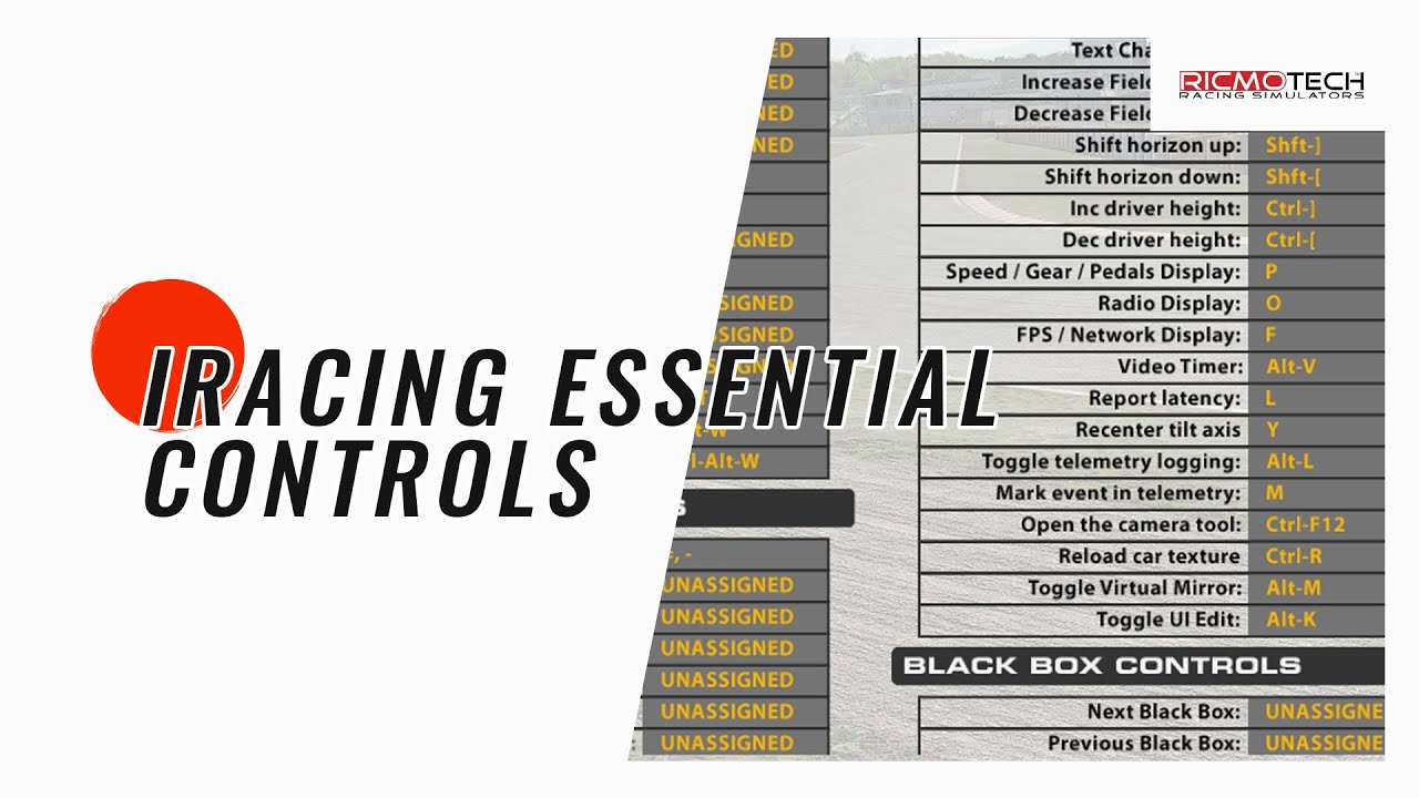 Essential Controls for iRacing
