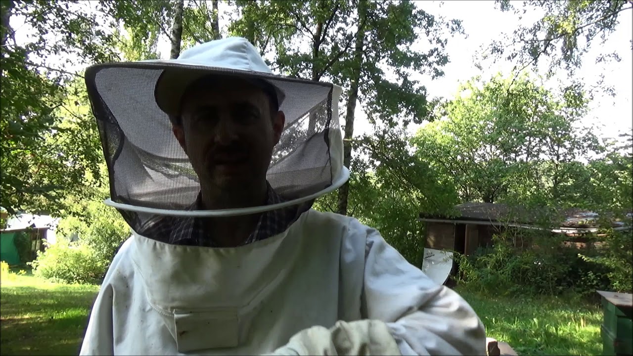 Imkerei 145  Ergebnis mit Apiinvert  / Vereinigen eines Bienenvolkes