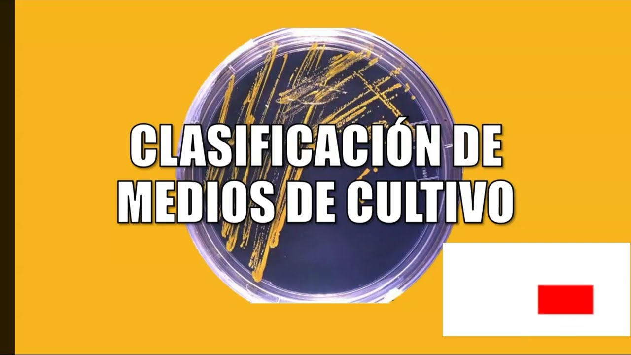 Clasificación Rápida: Medios de Cultivo Microbiológicos