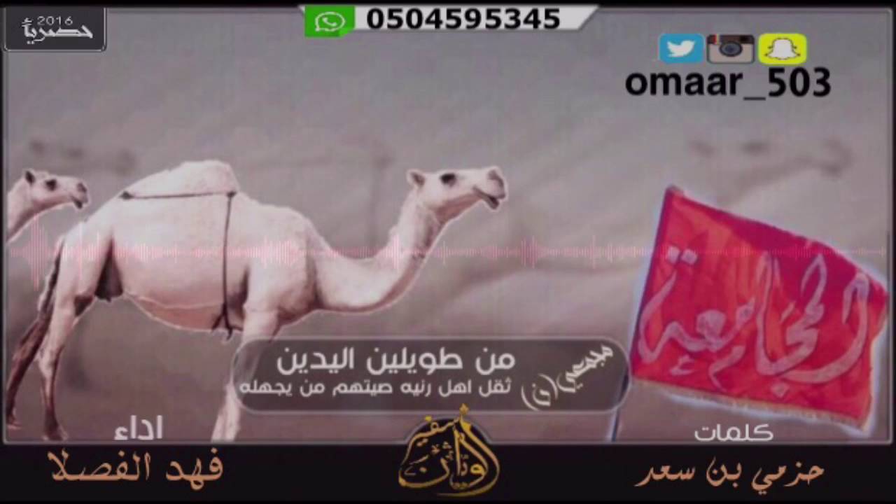 منقية حمود ابو راس المجامعه ، كلمات حزمي بن سعد ، اداء فهد الفصلا ، مونتاج سفير الوديان omaar_503