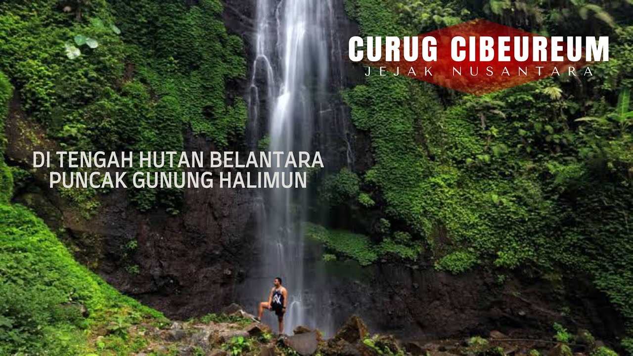 CURUG INDAH TERSEMBUNYI DI TENGAH HUTAN BELANTARA, Penampakan Curug Halimun Sukabumi
