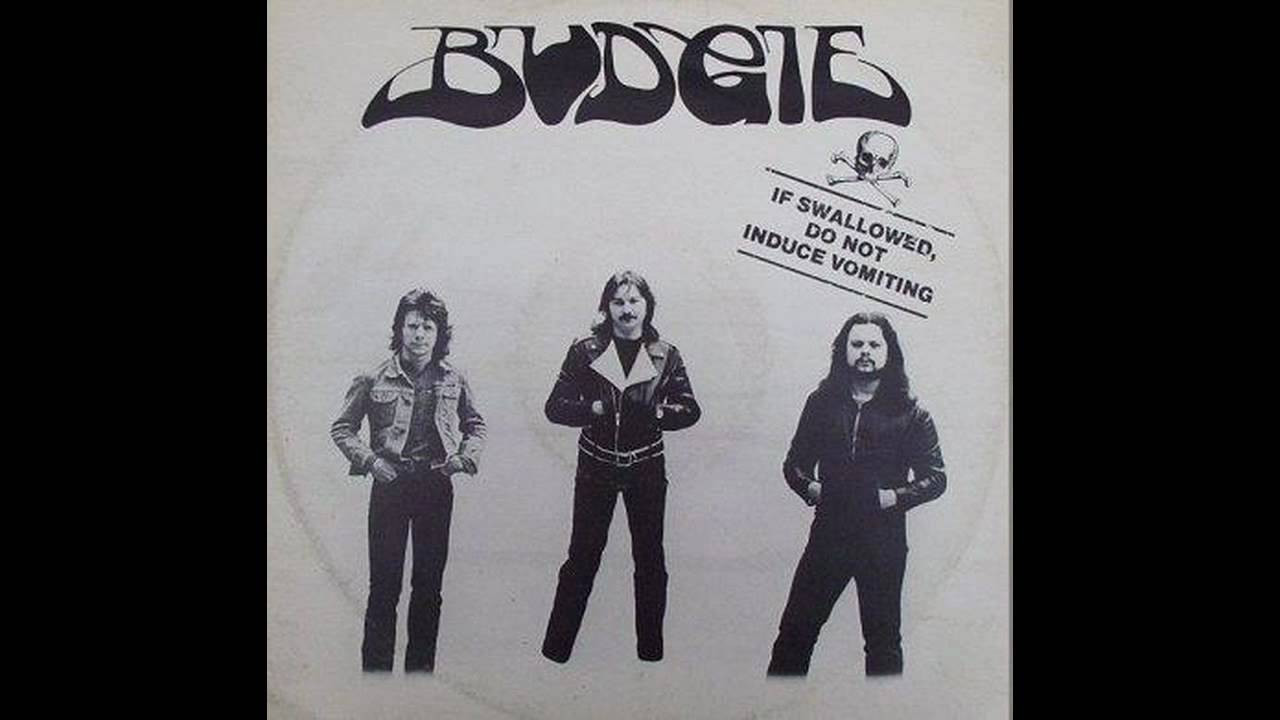 Budgie - Panzer Division Destroyed