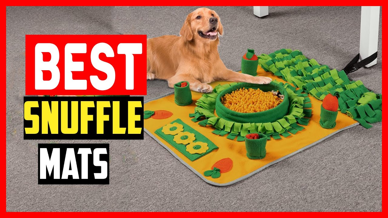 ✅Top 5 Best Snuffle Mats For Dogs 2025