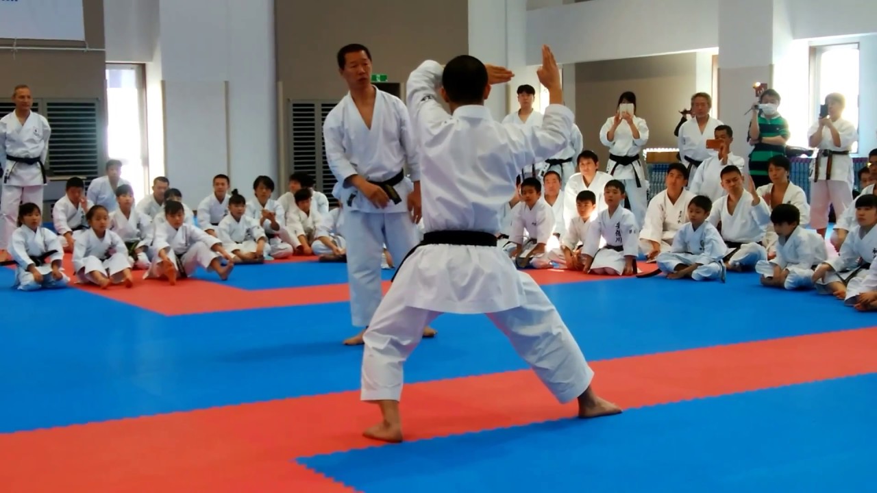 2017 JKF seminar Heian-yondan 全空連基本形講習会 松濤館 平安四段