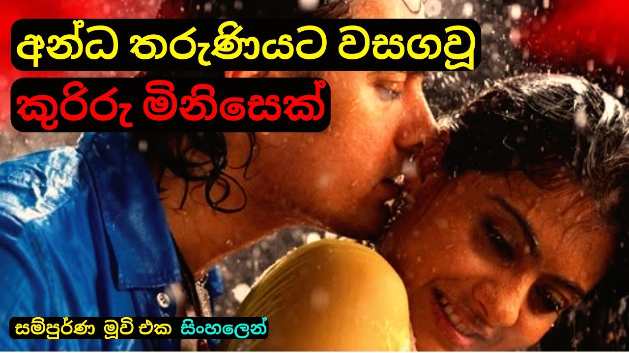 අන්ධ තරුණියට වසගවූ කුරිරු මිනිසෙක්  😱😱 Hindi Movie Review Sinhala|  Movies C Puter 2023