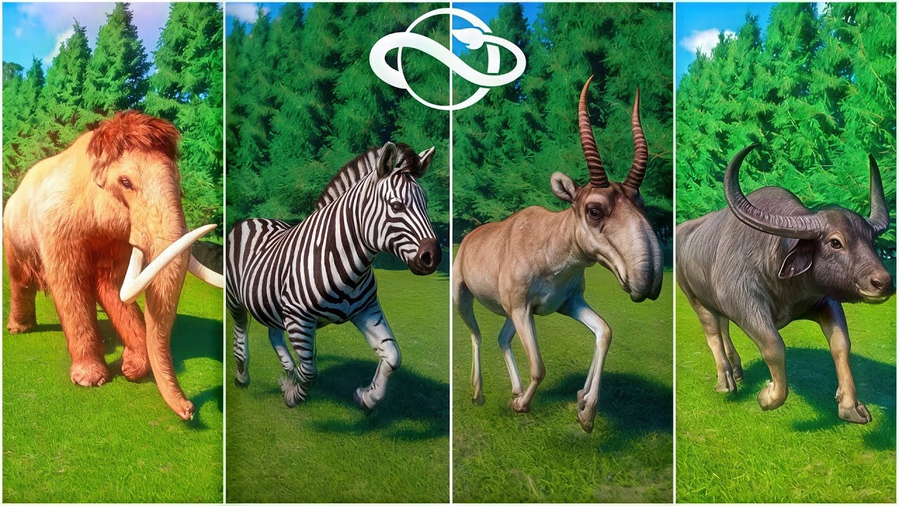 24 Animals Speed Race in Tropical Jungle | Planet Zoo - Mammoth, Zebra, Buffalo, Tiger, and More