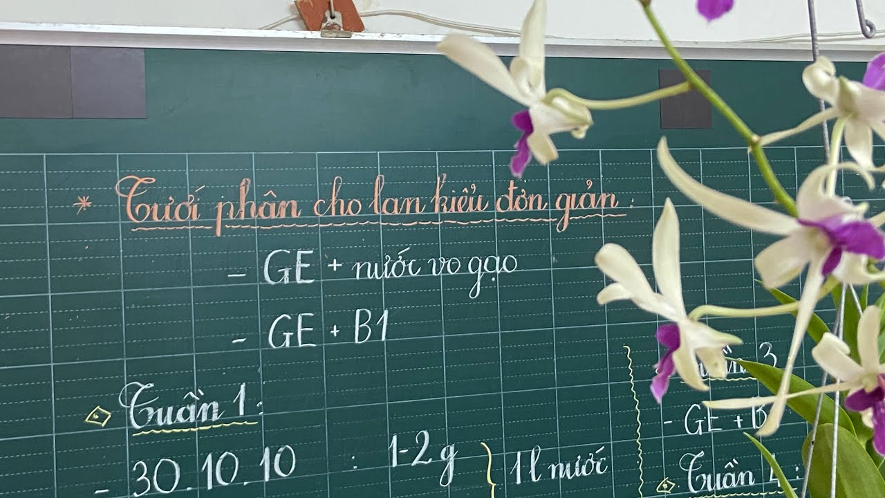Tưới phân cho lan quá đơn giản
