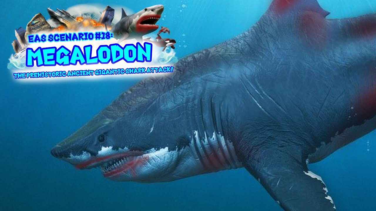 EAS Scenario #18: Megalodon
