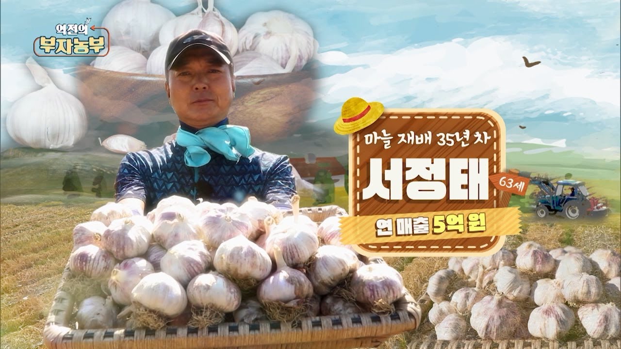 [202회] 마늘 농장 운영으로 연 매출 5억!! '경남 창녕군 서정태 부자농부'