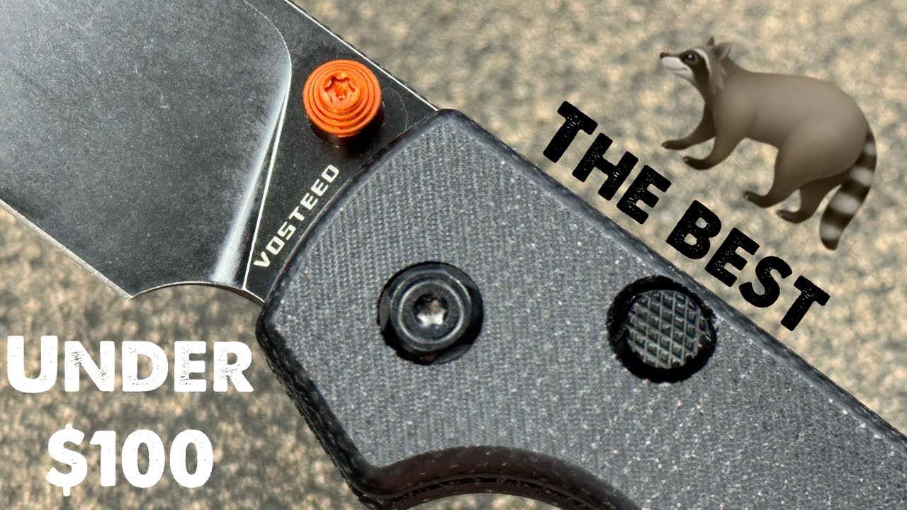 The Best Knife Under $100! | Vosteed Raccoon Top Liner Lock Unboxing