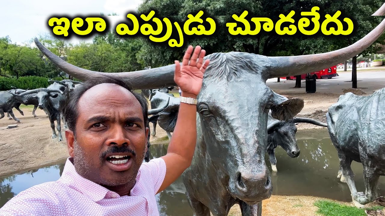 విచిత్రమైన రాష్ట్రం 🔥 America 50 States Tour 🔥 Texas Telugu Vlogs: Indian Life,  Colleges & Tourism