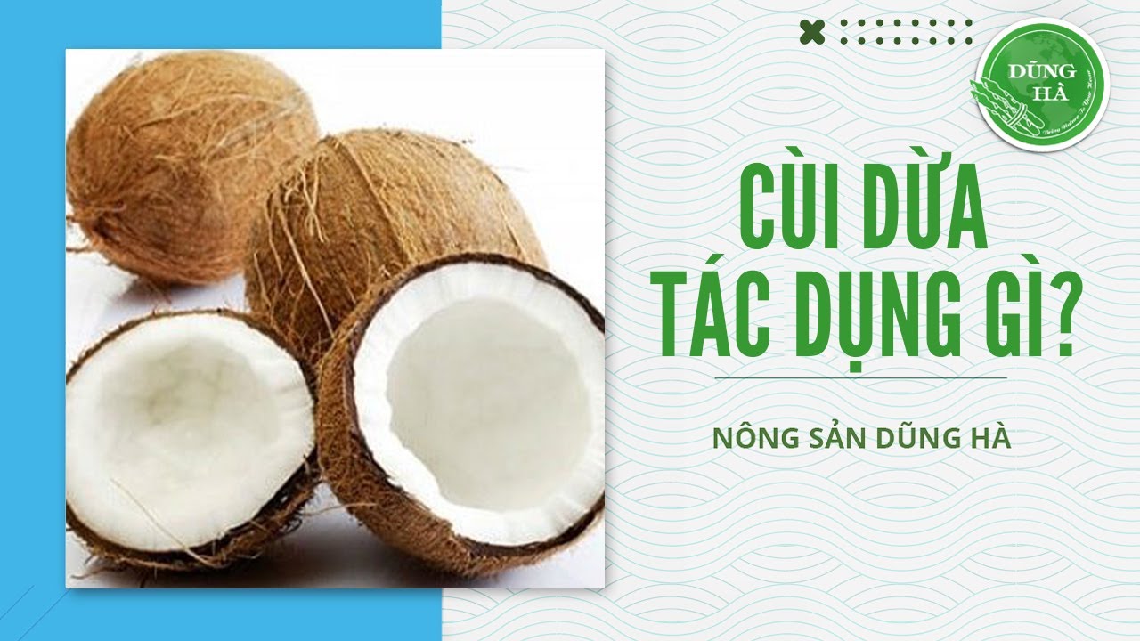 C&aacute;c t&aacute;c dụng của c&ugrave;i dừa bạn kh&ocirc;ng thể bỏ qua