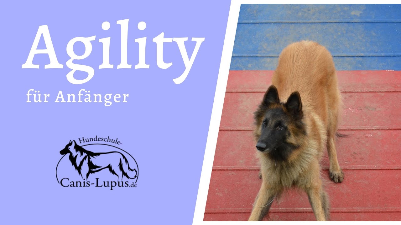 Agility 