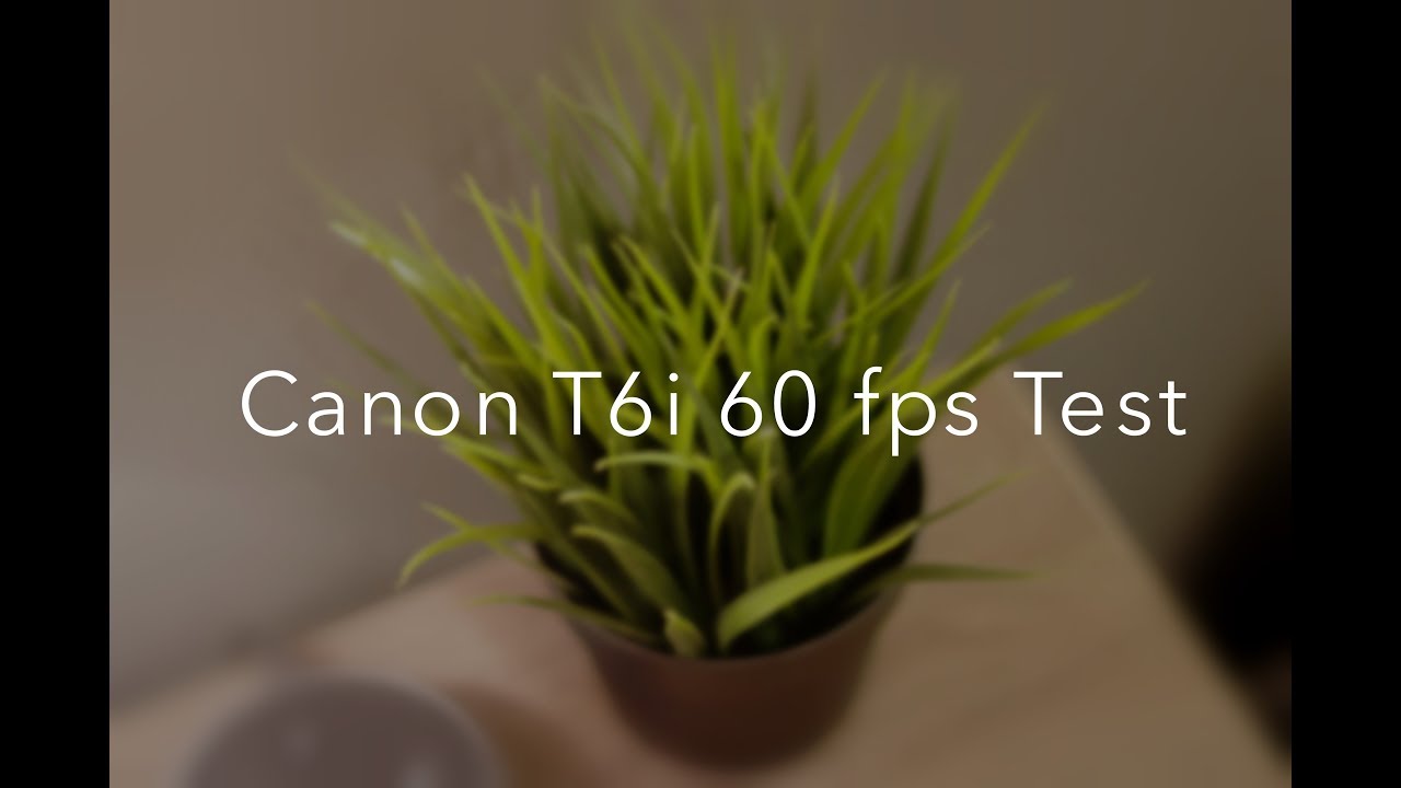 Canon T6i 60 fps Test