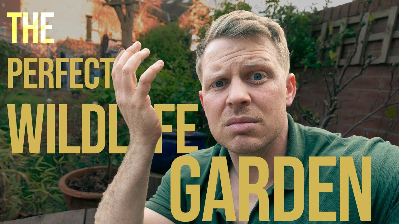 How to make YOUR GARDEN better for WILDLIFE