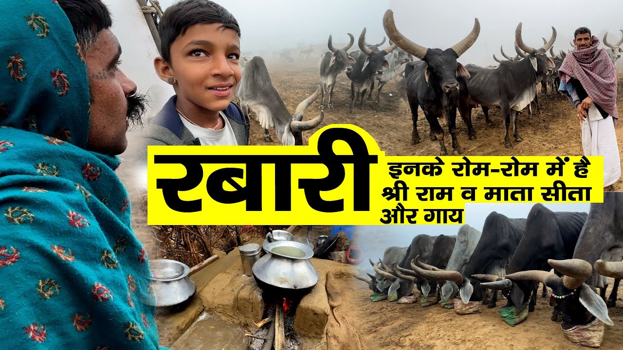 रबारी समाज का अपनी संस्कृति,गाय व अपने महापुरुषों से है अद्भुत प्रेम ।रोम-२ में है रामसीता #rabari