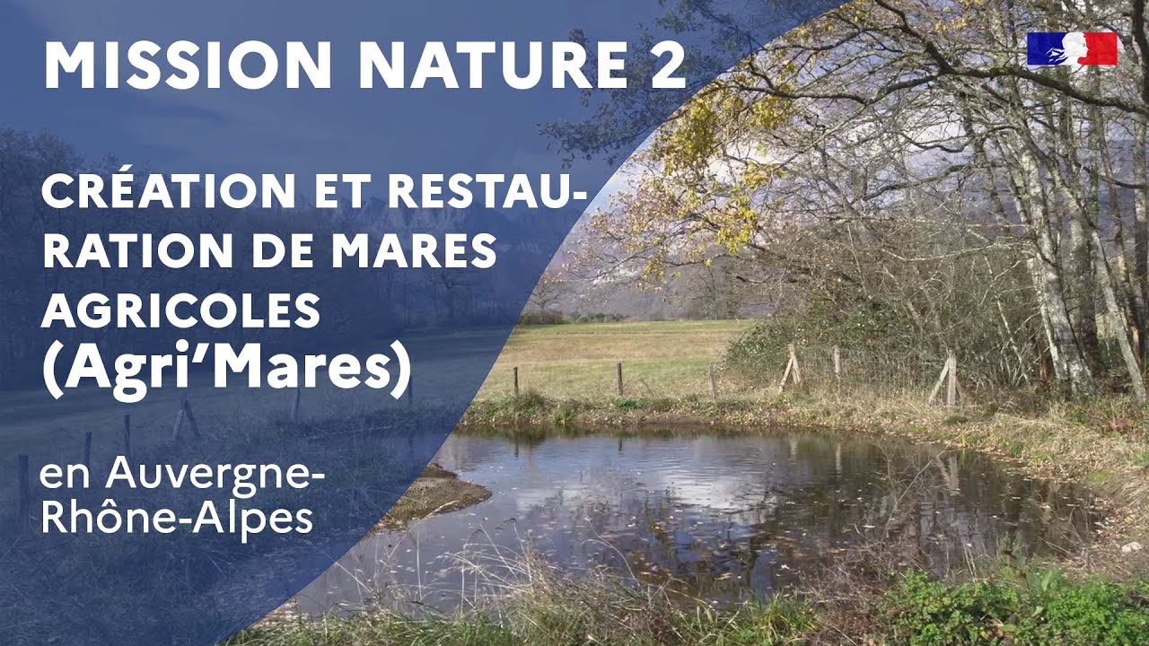 Mission Nature 2 : Agri&rsquo;Mares, cr&eacute;ation et restauration de mares agricoles en r&eacute;gion AURA