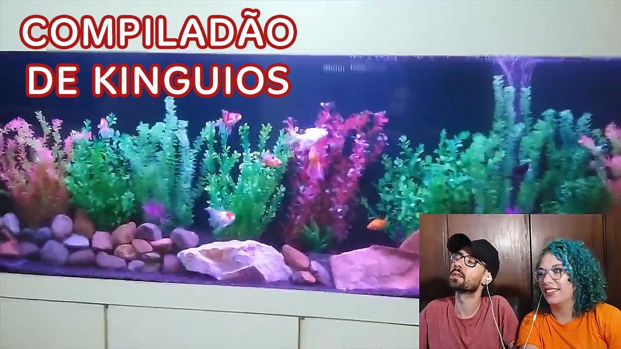 Compilado com AQU&Aacute;RIOS DE KINGUIOS