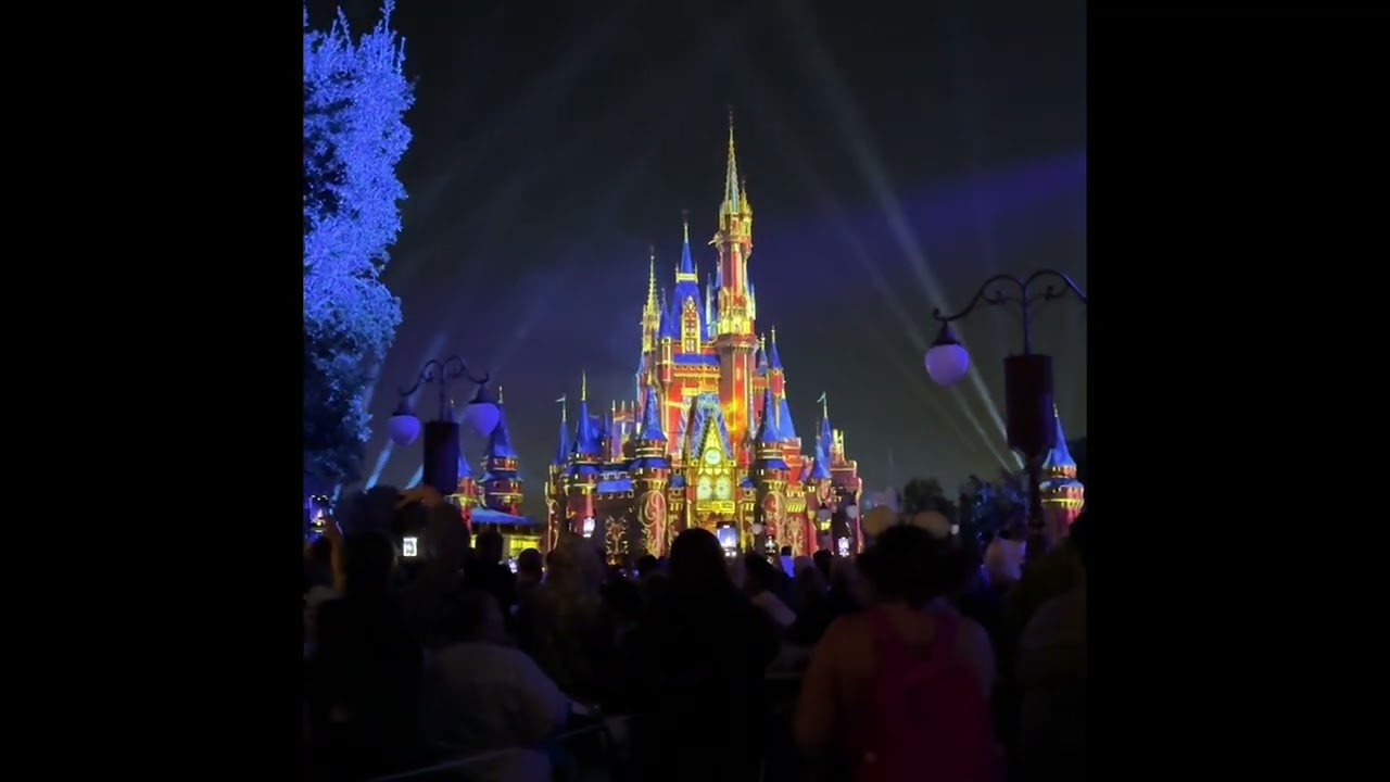 Jesse @ Disney world Magic Kingdom firework night November 2025 best show ever 🎆 pt2