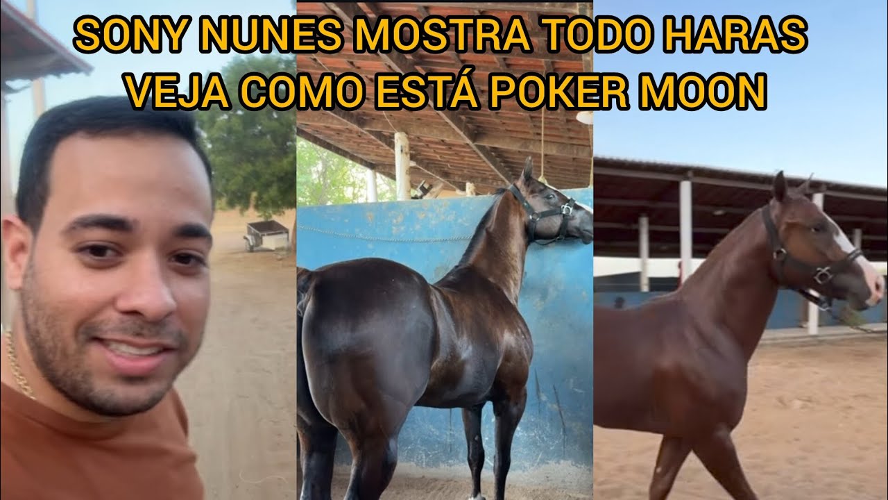 SONY NUNES MOSTRA TODO O HARAS E VEJA COMO ESTÁ POKER MOON 