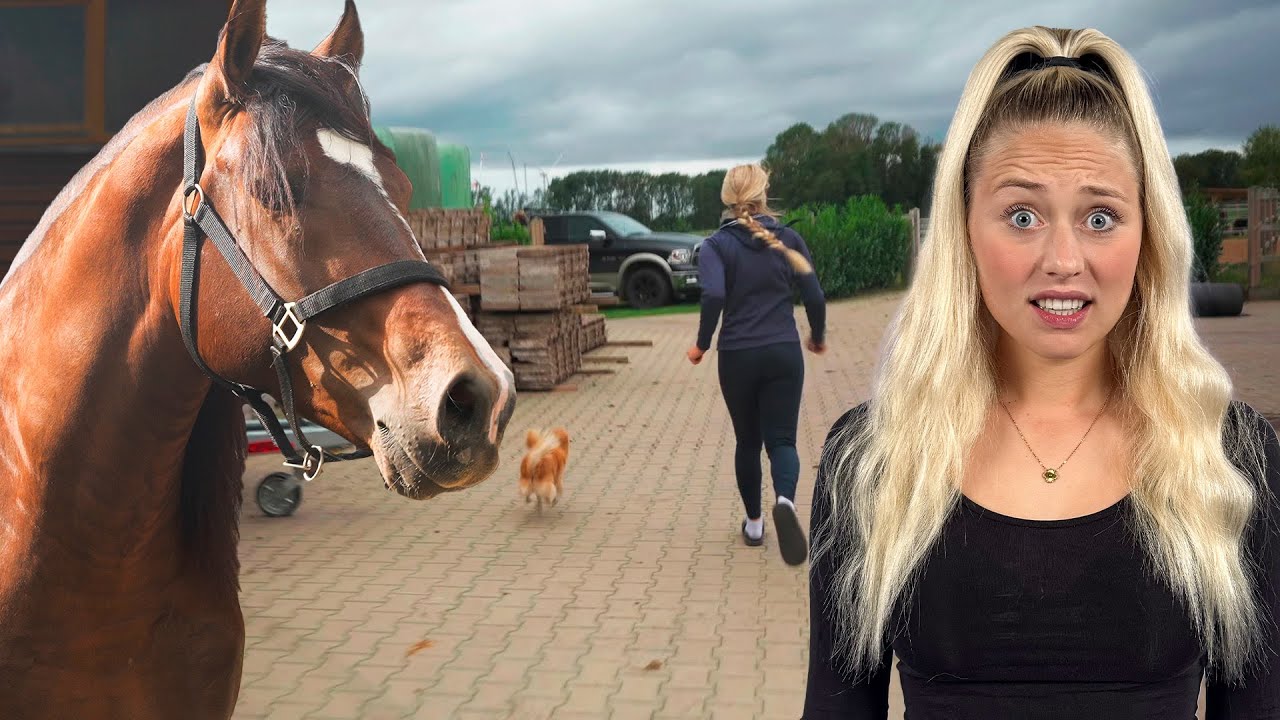 Die SPANIER sind AUSGEBROCHEN?!