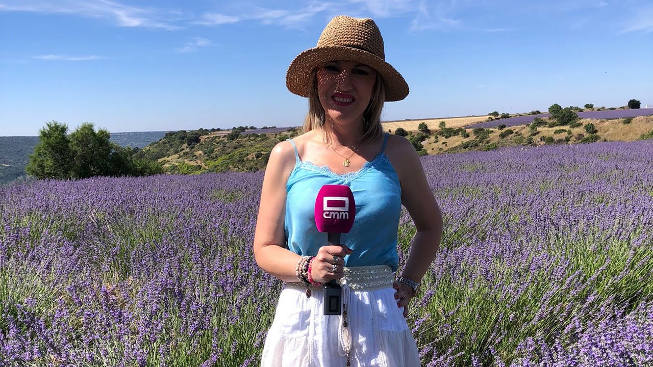 Brihuega y sus campos de lavanda | Estado Contigo