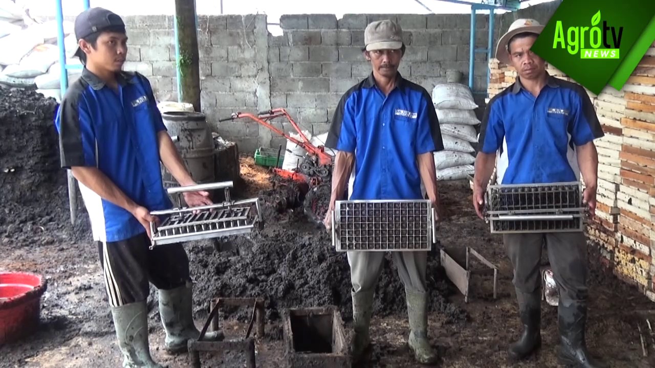 SOIL BLOCK SEEDLING, INOVASI TEKNOLOGI PERSEMAIAN  HORTIKULTURA