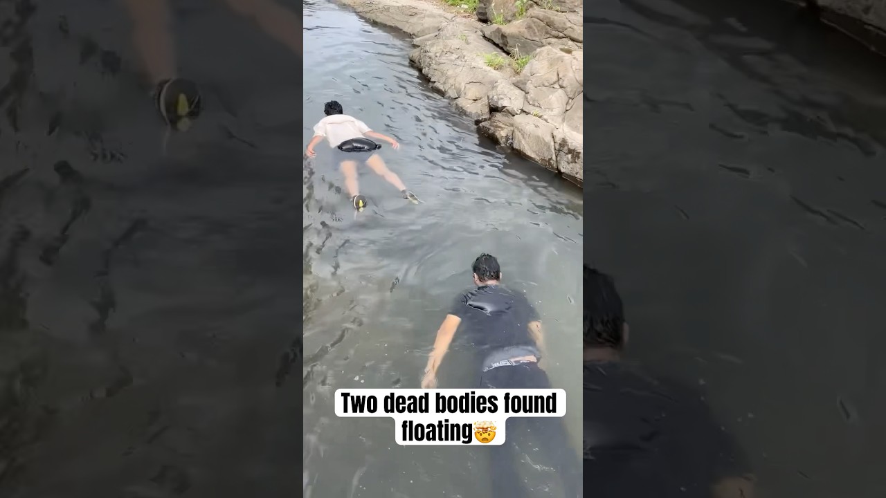 Two dead bodies found floating #floating #float #body #dead #fyp#heenaprajapati #babifreitas