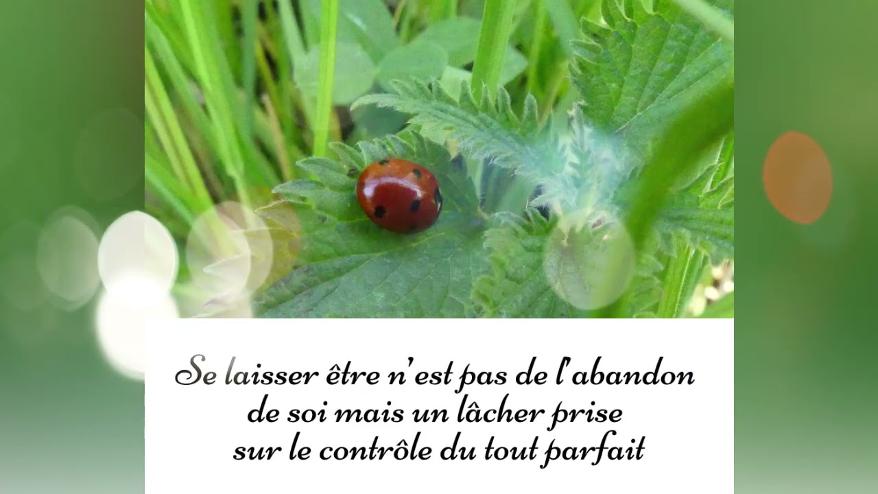24 - Prends ta place dans ce monde - Guidance