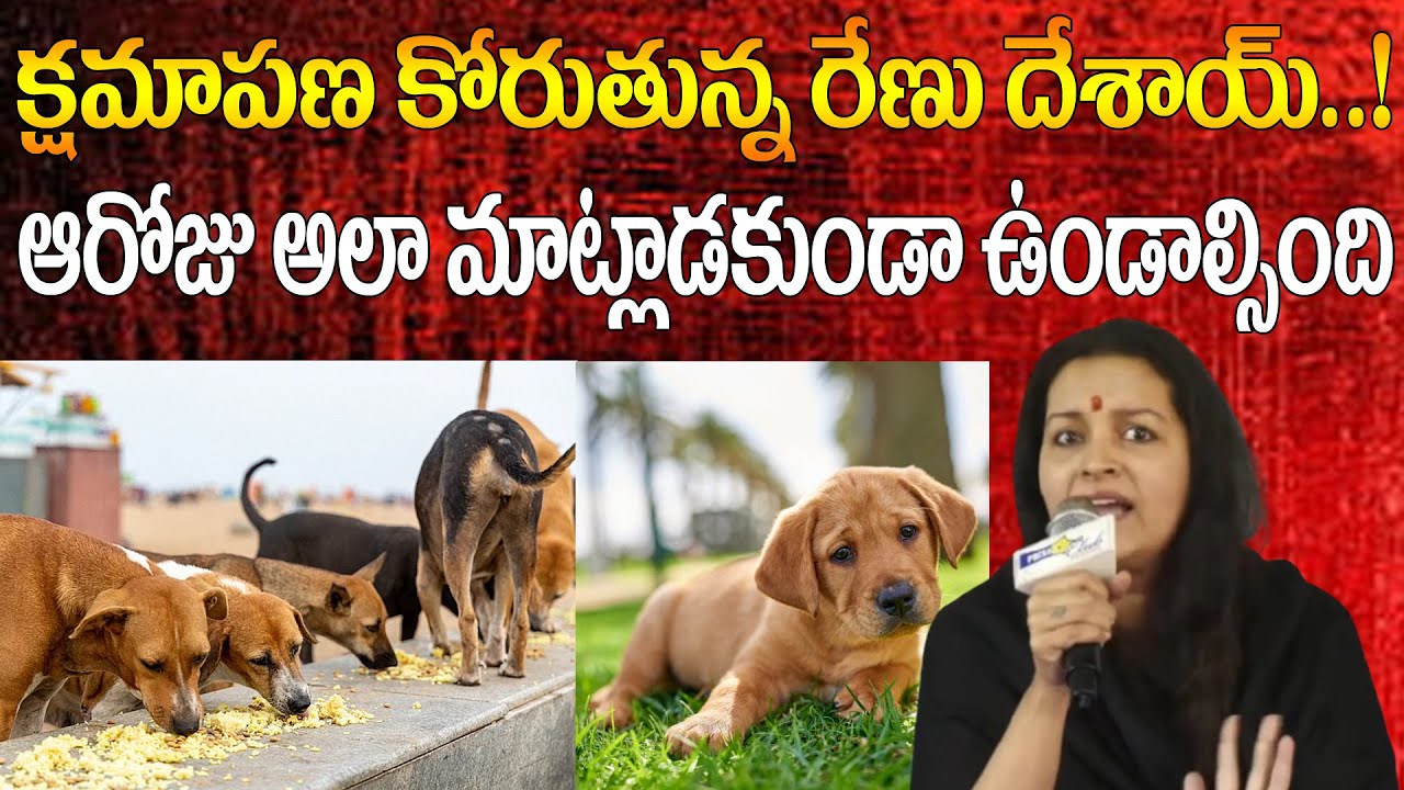 నా భర్త నన్ను వదిలేస్తే మీకెందుకు || రేణు దేశాయ్ ఘాట్ రియాక్షన్ || Renu Desai Serious On Public