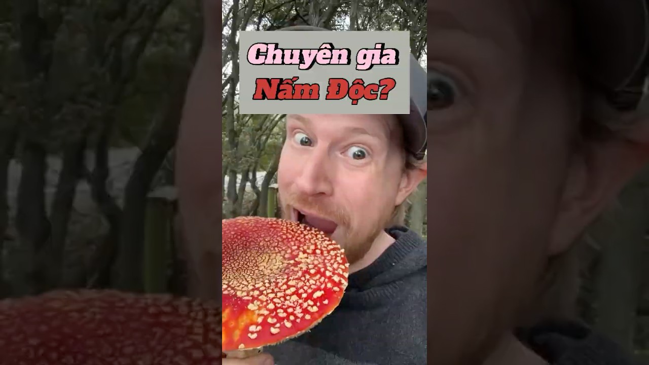 Sự thật về những c&acirc;y nấm độc?