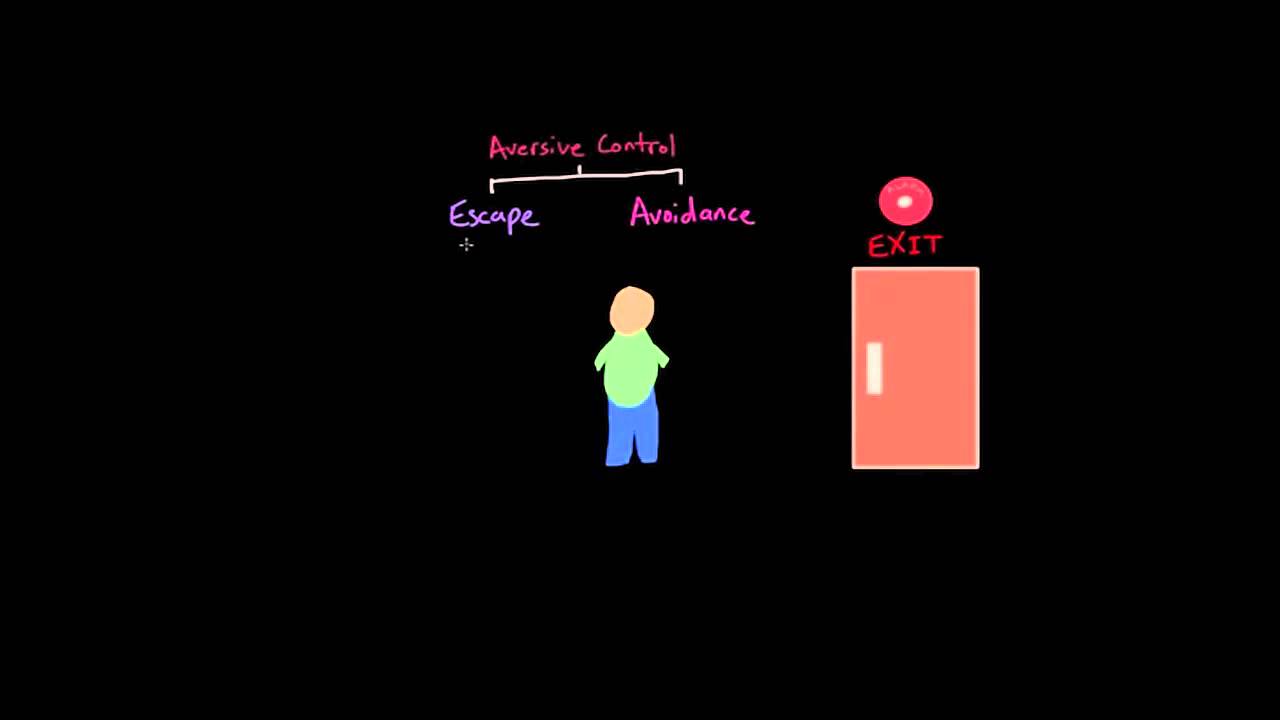 Operant Conditioning: Escape and Avoidance Learning