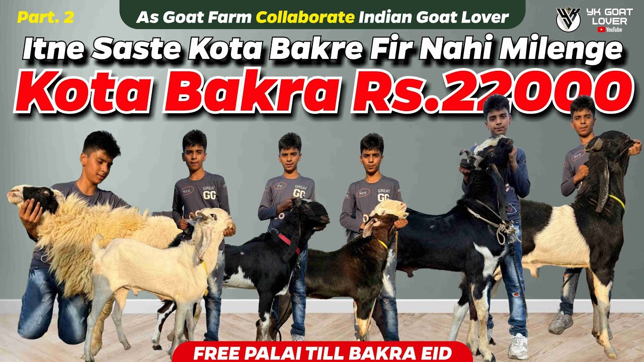 Mandi Ke Rate Main Farm Ke Sett Kiye Huye Bakre at AS Goat Farm I YK Goat Lover