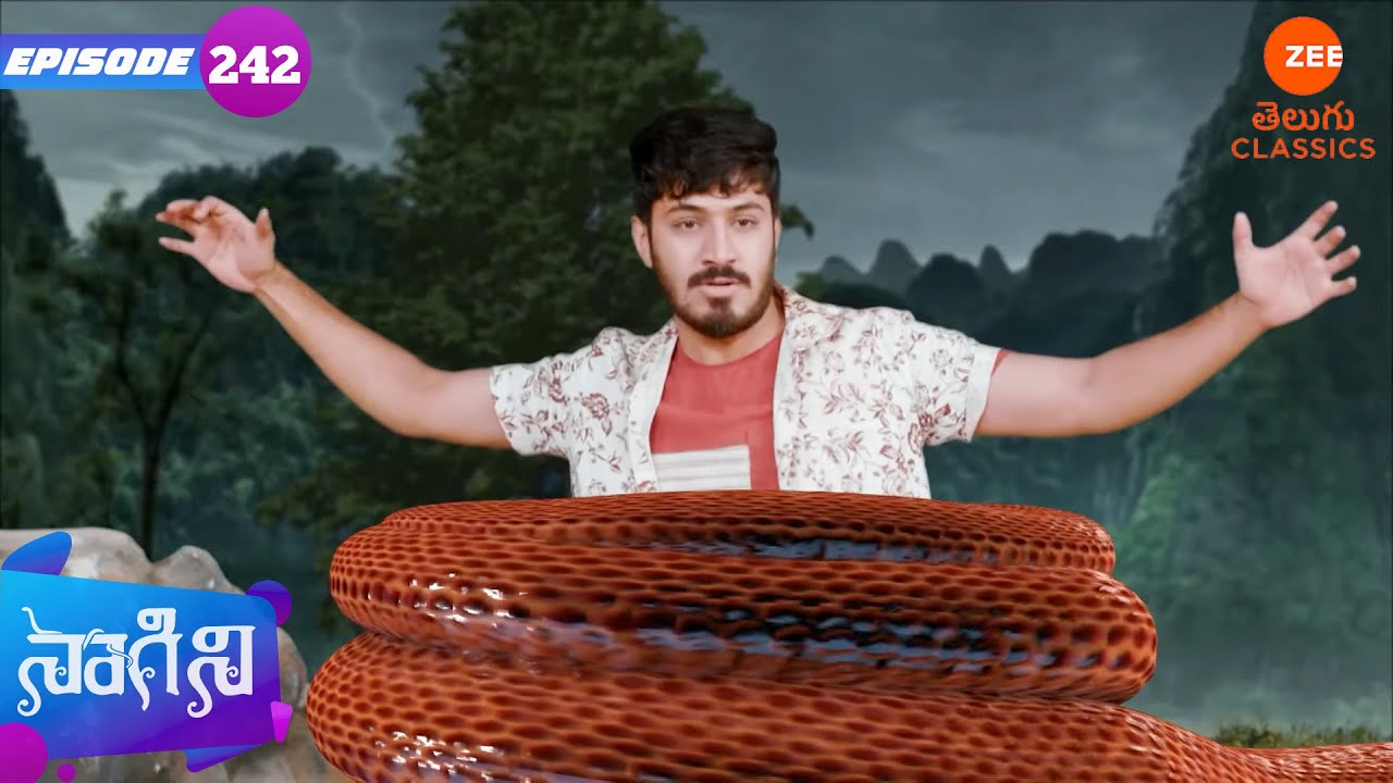 మాయాంగిని తన గుర్తింపును వెల్లడించడానికి నిరాకరిస్తుంది | Naagini | Ep 242 | Zee Telugu Classic