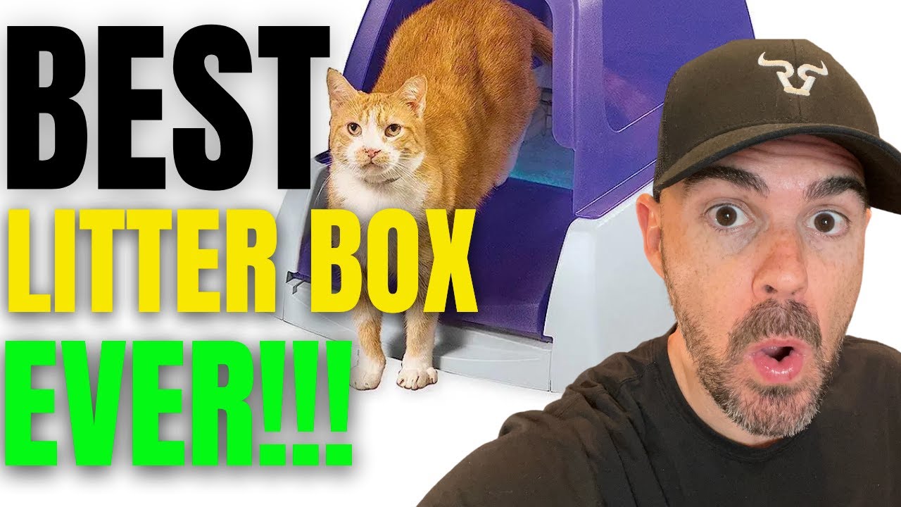 The PetSafe ScoopFree Complete Plus Self-Cleaning Cat Litterbox: The Future of Cat Litter Technology