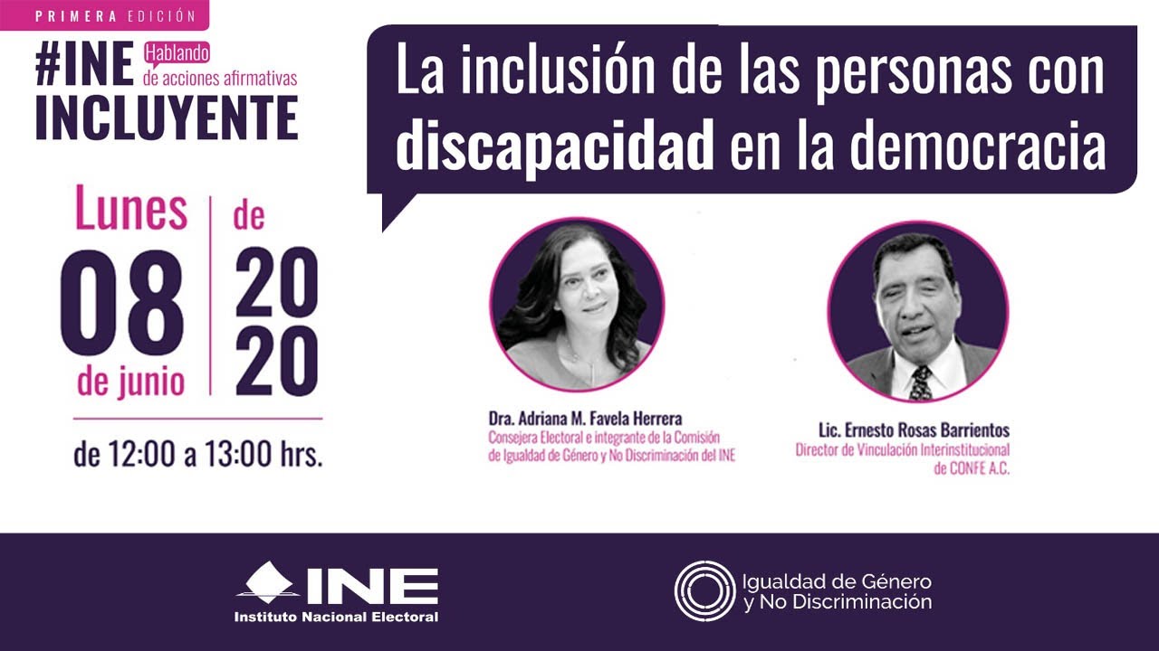 Webinario: La inclusi&oacute;n de las personas con discapacidad en la democracia