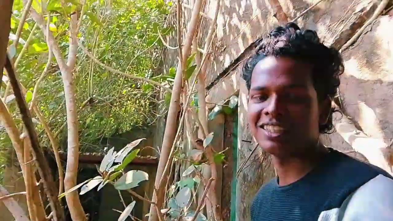 ଭୂତ କୋଠୀ Odia ghost vlogs 143