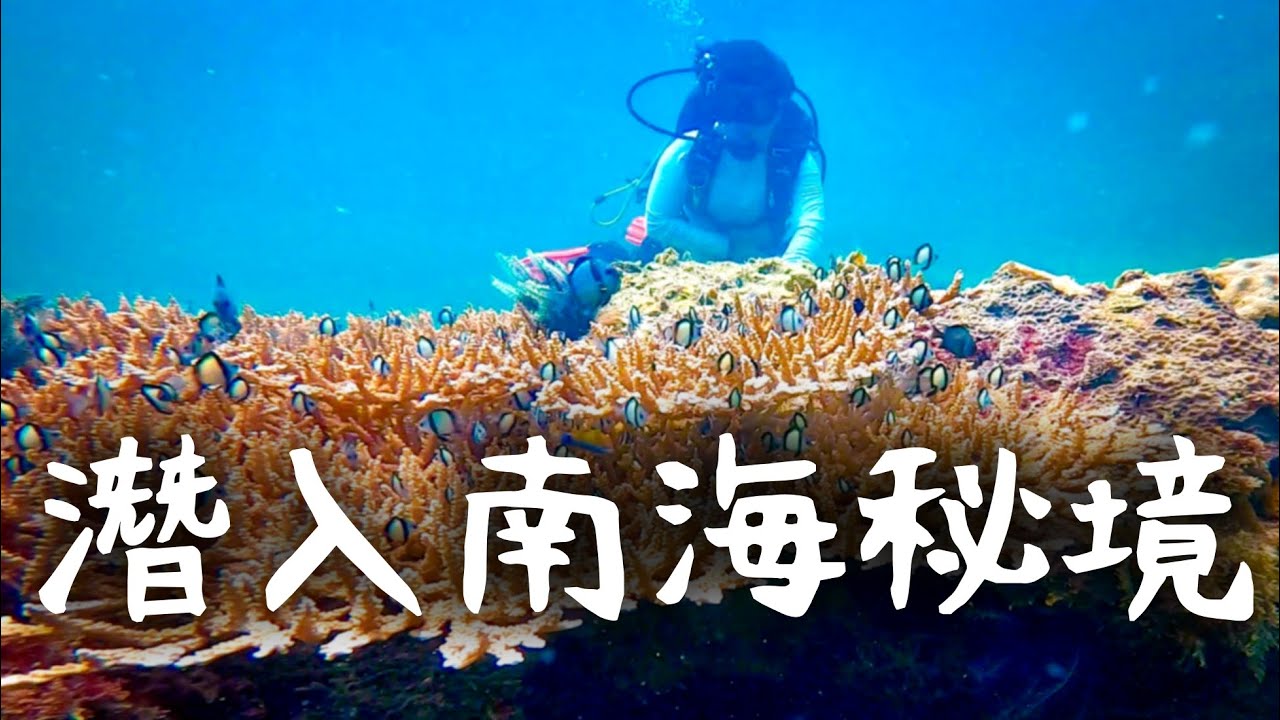 考潛水證照全紀錄！東馬砂拉越美里潛水南中國海秘境 Scuba Diving in Miri