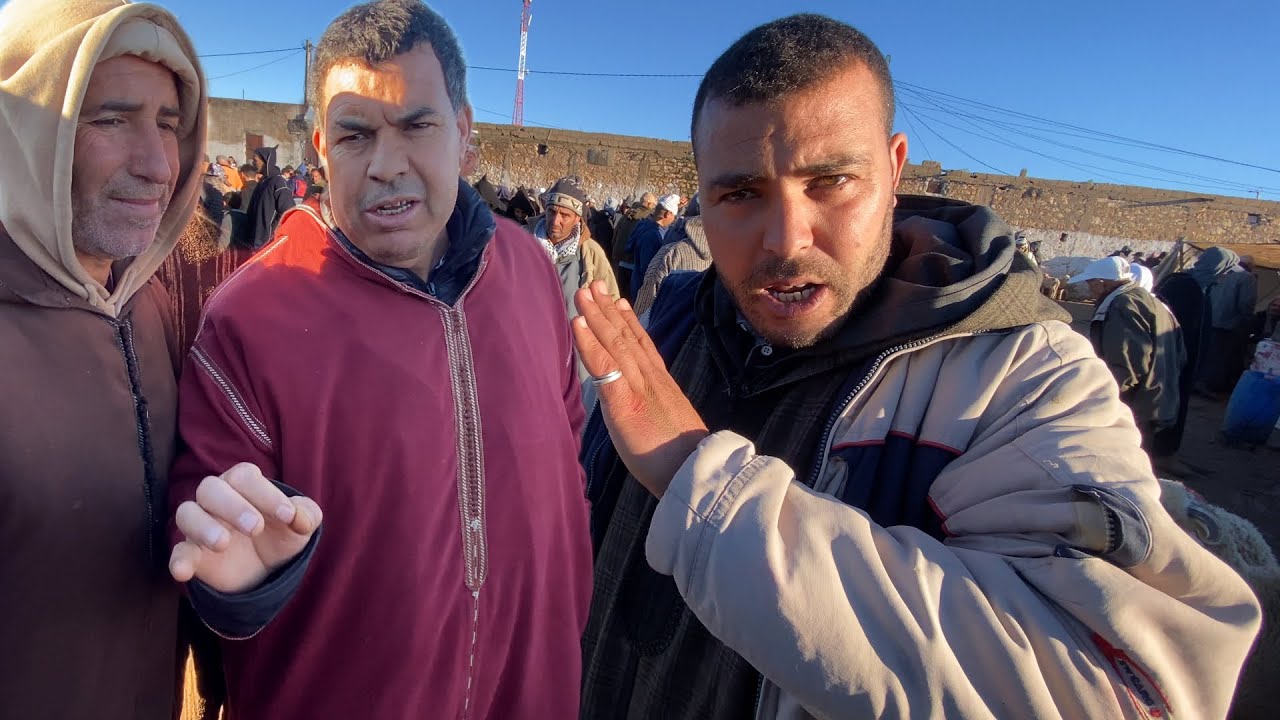 اليوم من سوق ثلات أولاد فارس 17/02/2026 أجيو تشوفو شنو واقع في سوق 🐏