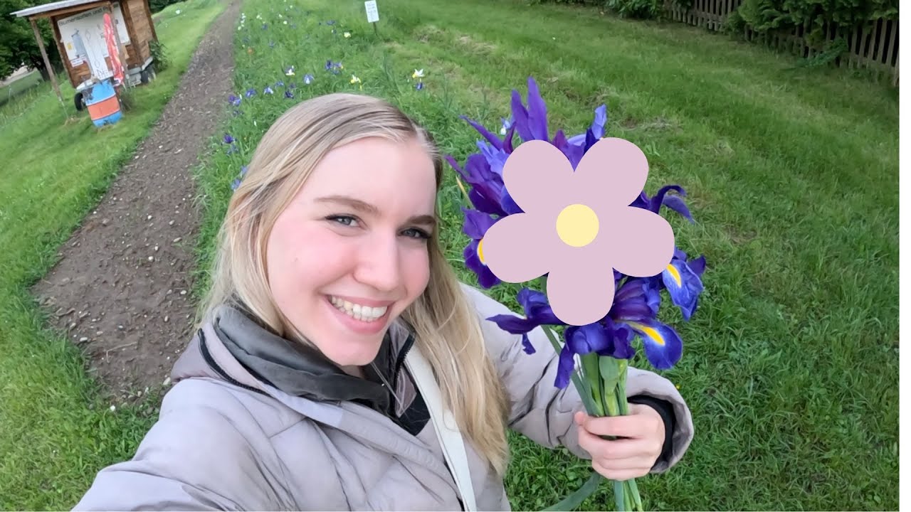 BLUEME PFLÜCKE ✨romantisiere✨