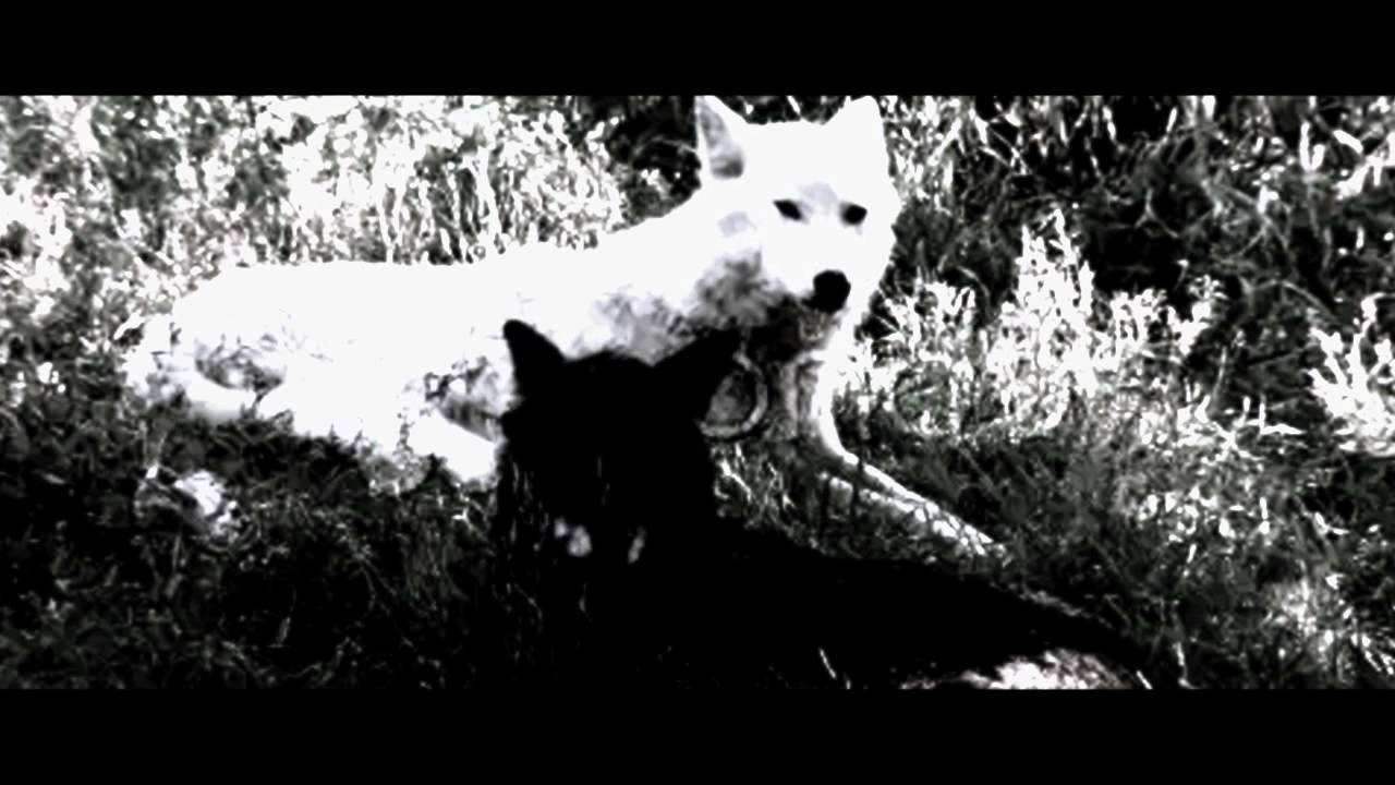 c i r c l e [•]Fenrir•Harry[•] (fanfic)