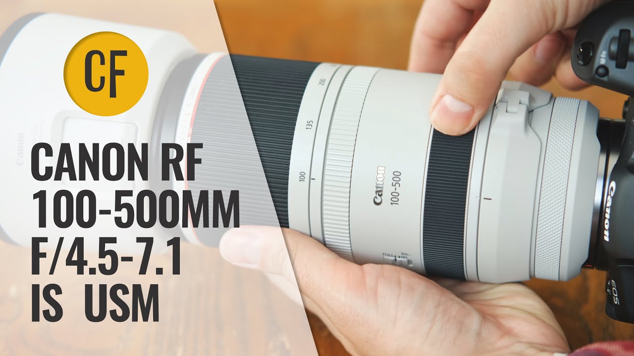 Обзор объектива Canon RF 100-500mm f/4.5-7.1 'L' IS USM с примерами