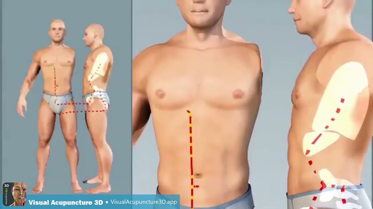 Kidney meridian - acupuncture