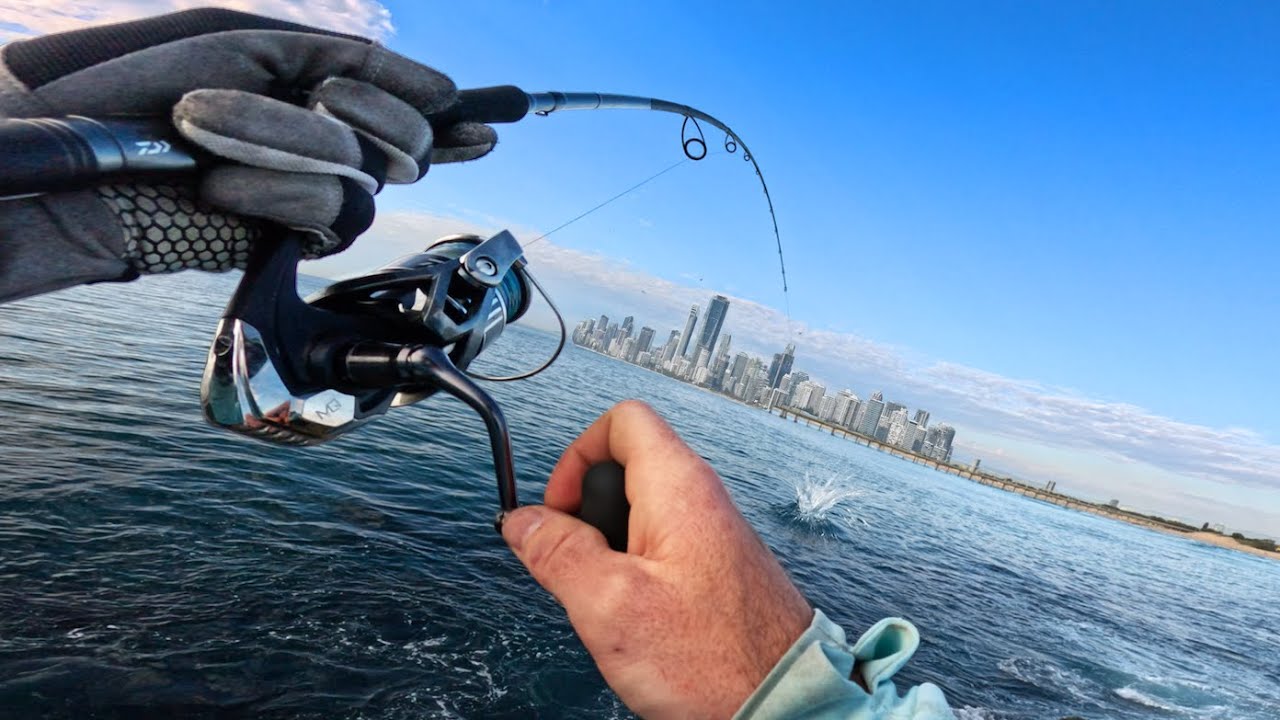 Fishing The GOLD COAST - Land Based KING FISH MAYHEM! (The Spit)