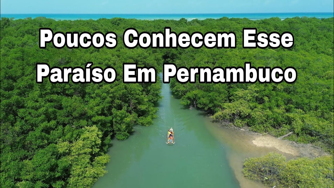 Praia De Gravatá Em Abreu Do Una São José Da Coroa Grande Pernambuco